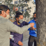 freeing nails from trees