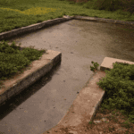 water crisis in Bengaluru