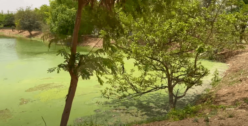 kaikondrahalli lake