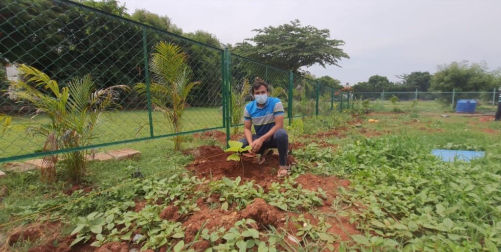 A food park for the birds coming up in Bangalore during the pandemic 7