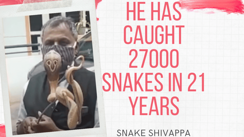 Before you call a snake catcher, read this! 5