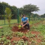 A food park for the birds coming up in Bangalore during the pandemic 16