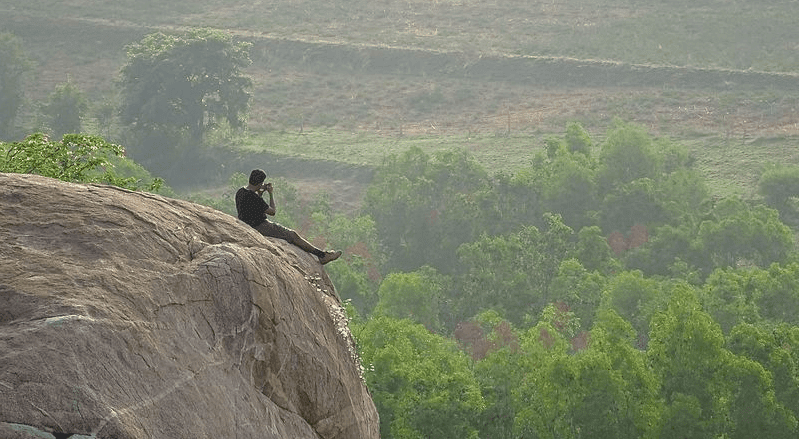 turahalli forest